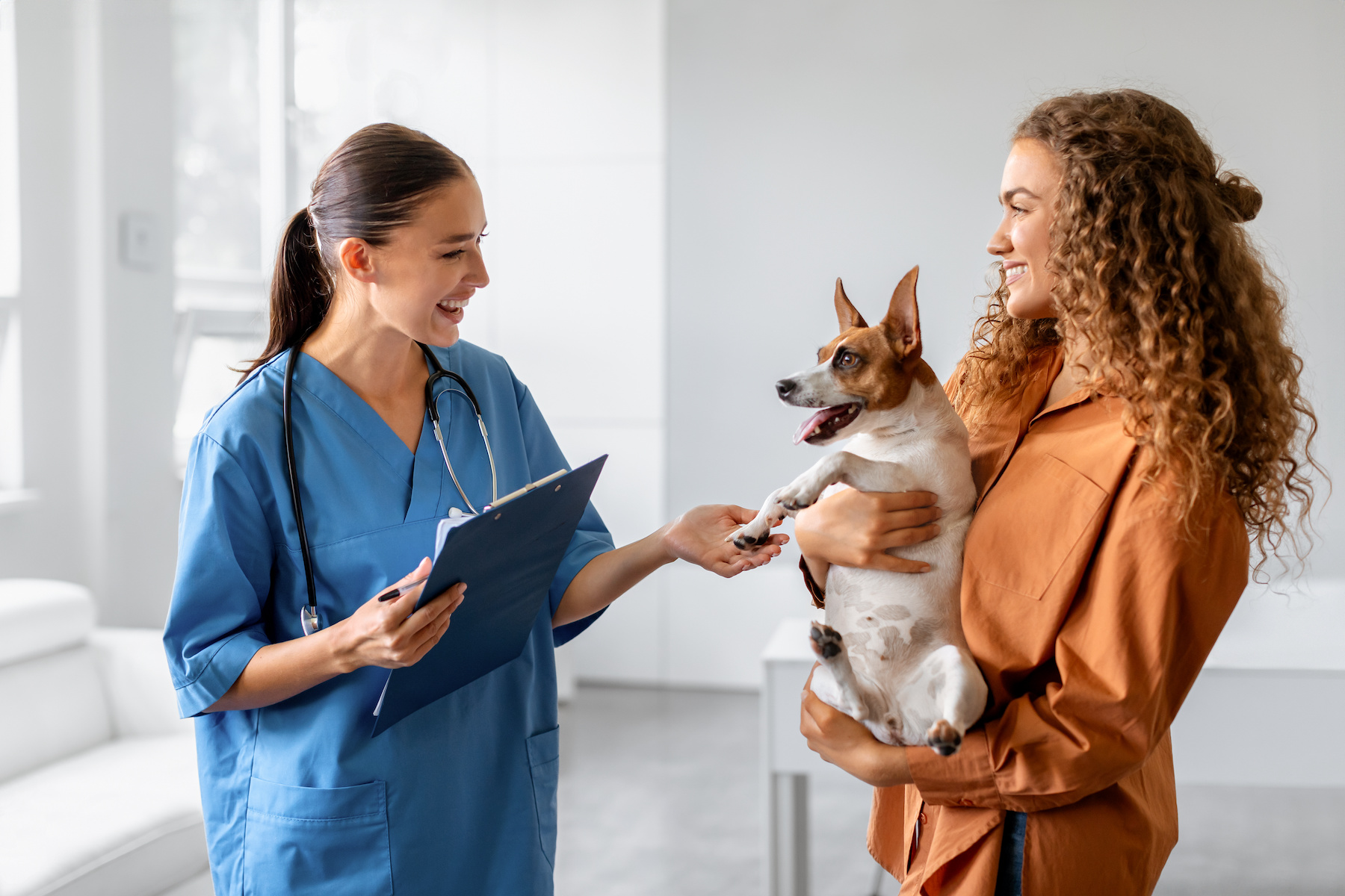 Woman and her dog at a vet consultation